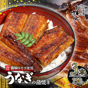 〈うなぎ屋かわすい〉愛媛県松山市養殖うなぎを使用！うなぎ蒲焼 3本 (1尾：150～169g) ｜うなぎ うなぎ うなぎ うなぎ うなぎ  うなぎ ウナギ ウナギ 鰻 鰻  【KWS008】