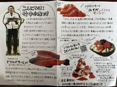 北海道 国産ドナルドサーモン(生食用) 500g  鮭 サーモン 人気サーモン サケ 国産サーモン 冷凍 小分け 鮭 500g 4パック前後