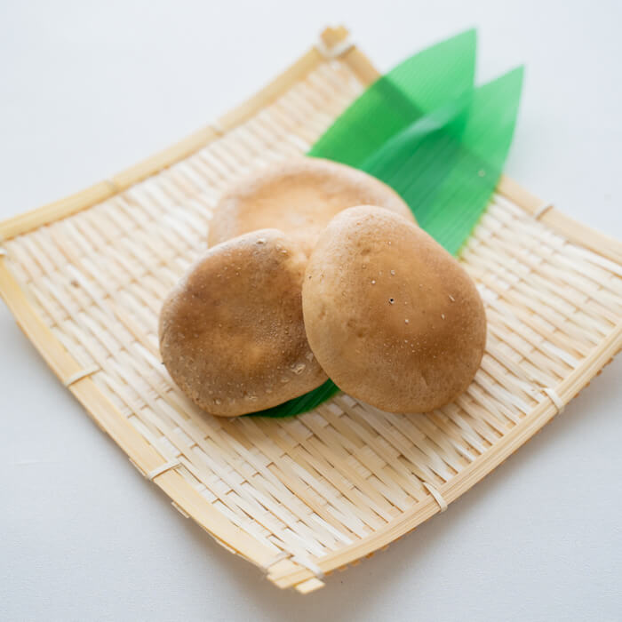 【ふるさと納税】「日本農業賞」大賞受賞の農園が作る原木しいたけ詰め合わせセット（1.0kg）