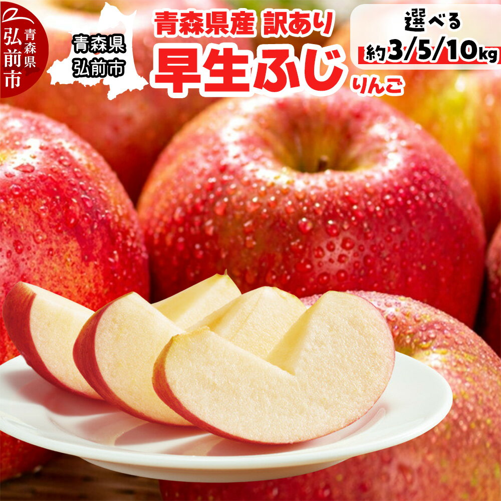 【ふるさと納税】りんご【訳あり ご家庭用】早生ふじ【選べるキロ数：3kg 5kg 10kg】青森県産 青森 果物 フルーツ 林檎 リンゴ くだもの