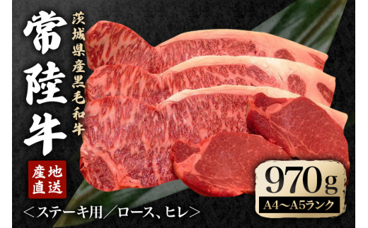 瑞穂農場で育てた常陸牛ロース、ヒレステーキセット 約970g ヒレ ロース 牛肉 ブランド牛 常陸牛 A4 A5 茨城県 A4ランク A5ランク黒毛和牛 焼肉 国産 ステーキ BBQ バーベキュー 和牛 ステーキ 【（株）フロンティアロード】【ho0924】