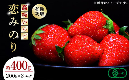【先行予約】 高級いちご恋みのり約400g(200g×2)有機栽培いちご苺ストロベリーZBB001