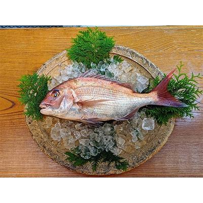 ふるさと納税 唐津市 玄海灘産天然鯛茶漬け4個入り　irodoriiからつ 四季の返礼品