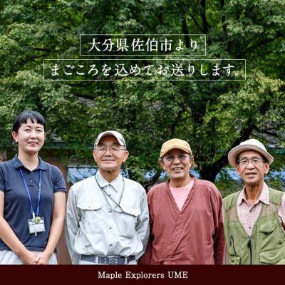 ふるさと納税 佐伯市 メープルシロップ サザンメイプル Southern Maple (70g×1個) |  | 03