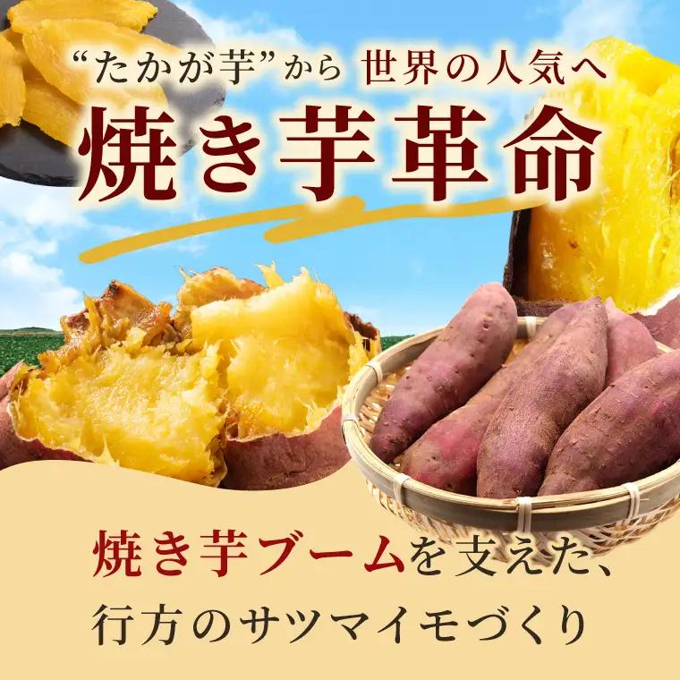 【新プロジェクトX放送～行方かんしょ～】 「紅優甘」焼き芋・干し芋セット（冷凍焼き芋４本・平干し芋300ｇセット）|茨城県 行方市 ふるさと納税 冷凍焼き芋 やきいも 平干し芋 ほしいも 紅はるか 紅