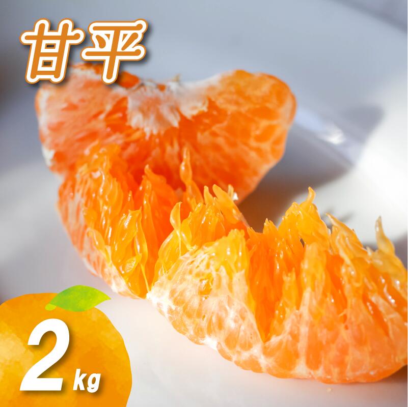 【ふるさと納税】 【2027年2月頃から順次発送】 甘平 2kg | 国産 愛媛みかん 愛媛蜜柑 愛媛ミカン みかん ミカン mikan 蜜柑 柑橘 フルーツ 果物 くだもの お取り寄せ 産地直送 数量限定 人気 おすすめ 愛媛県 松山市 送料無料