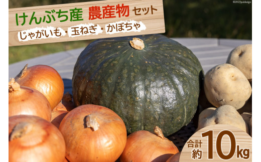 
野菜 けんぶち産農産物セット 3種 計10kg [剣淵・生命を育てる大地の会 北海道 剣淵町 14656147] じゃがいも 玉ねぎ かぼちゃ
