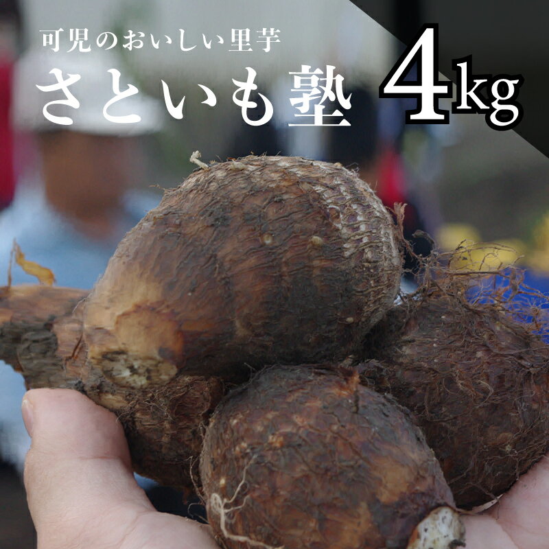 【ふるさと納税】 可児のおいしい 里芋 さといも塾 岐阜県 可児市 野菜 土垂れ もちっと 柔らか 煮物 煮っころがし 芋煮 食物繊維 ミネラル カリウム NPO法人 お取り寄せ 送料無料