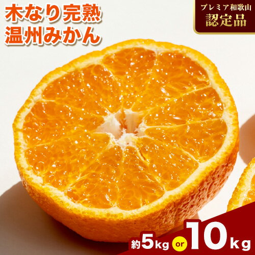 【ふるさと納税】濃厚完熟 木成り温州 みかん 選べる 約 5kg 10kg ミックスサイズ 和歌山県産 まるまつ農園《2026年12月上旬-2027年1月末頃出荷》 和歌山県 日高町 温州みかん みかん 完熟