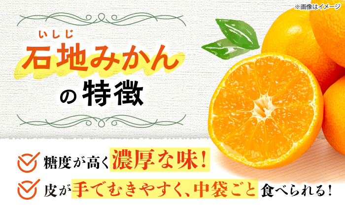 【12月上旬より配送開始☆優品】石地みかん 約8kg（傷み保証分300g含む）＜川添みかん園＞ [CCT006] みかん