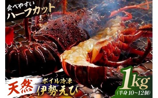 【先行受付：12月発送】【天然】ボイル冷凍伊勢海老 ハーフカット1kg（半身10～12個） mi0020-0014-12 【伊勢海老 ボイル ハーフカット 魚介 バーベキュー 海の幸 海鮮】