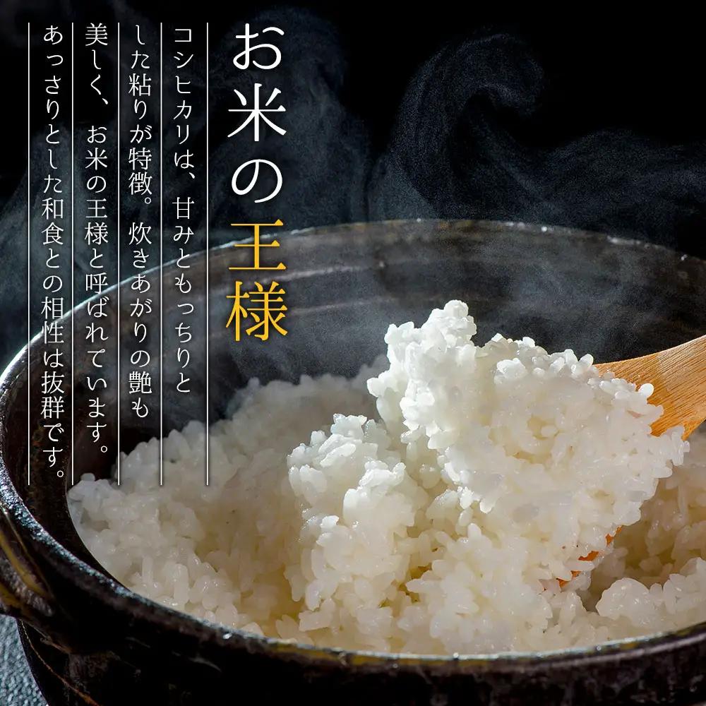 【定期便隔月6回】R7年産コシヒカリ 5kg プロ厳選の産地直送米 白米 お米 人気 美味しい 白ご飯 こだわり 農業 甘味 香り ツヤ お米の王様 熊本県 阿蘇市