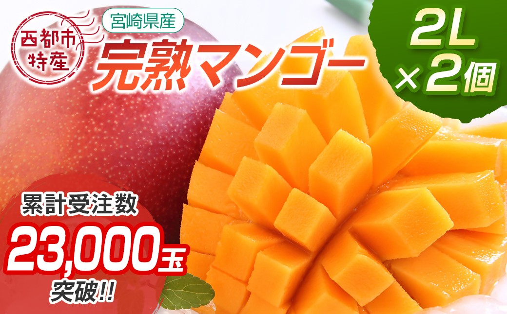 
                  宮崎県西都市産完熟マンゴー2L×2個 西都市特産品 ＜1.2-39＞宮崎完熟マンゴー 果物 フルーツ 甘い【先行予約】2026年発送 
                
