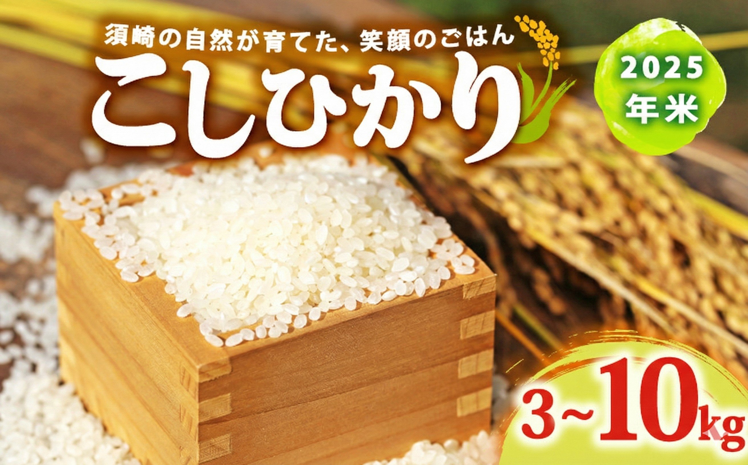 
                  【 令和7年産 】 コシヒカリ 選べる 3kg 5kg 10kg 産地直送 米 高知県産 白米 精米 こしひかり 米 お米 常温 配送 ブランド米 おにぎり 弁当 ご飯 こめ 国産 米 人気 匠 高知県 須崎 SDM001-ALL
                