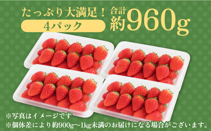 【みずみずしい果肉】さがほのかレギュラーパック4P 約1kg 吉野ヶ里町/リエンサーク いちご[FCC001]