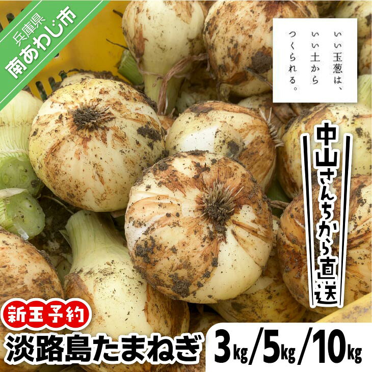 【ふるさと納税】【量が選べる！新玉予約！】中山さんちから直送 淡路島新たまねぎ