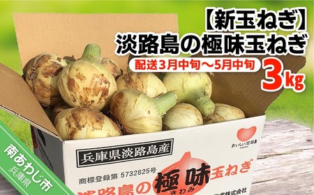 【新玉ねぎ】極上の味　淡路島の極味玉ねぎ　3kg　◆配送３月中旬～5月中旬