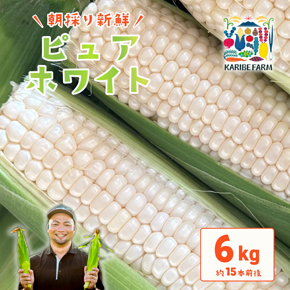 【ふるさと納税】【先行予約】下妻産朝採りとうもろこし約6kg（ピュアホワイト）【先行予約：2026年6月下旬～順次発送予定】【 とうもろこし トウモロコシ とうきび 甘い スイーツ デザート コーン 人気 野菜 新鮮 おすすめ 】