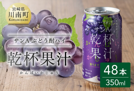 サンA乾杯果汁ぶどう酎ハイ　350ml缶×24本×2ケース 【 飲料 酎ハイ お酒 ぶどう 宮崎県産 】