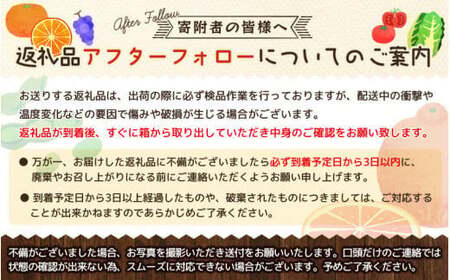 【全6回定期便】旬のフルーツ定期便 【田村みかん / 紀州デコ(不知火) / 清見オレンジ / 小玉スイカ / 桃 / ゆら早生みかん】 ～和歌山の旬をお届け～ / みかん ミカン 温州みかん 有田み