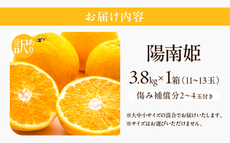 先行予約 訳あり オリジナル ブランド 陽南姫 計3.8kg以上 傷み補償分付き 令和8年発送 フルーツ 果物 くだもの 柑橘 みかん_AAV4-25