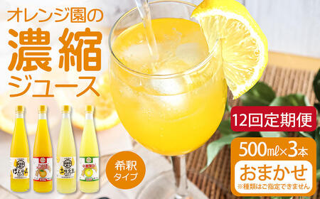 オレンジ園の濃縮ジュース 500ml おまかせ3本入り 12回定期便 希釈用 【J00122】