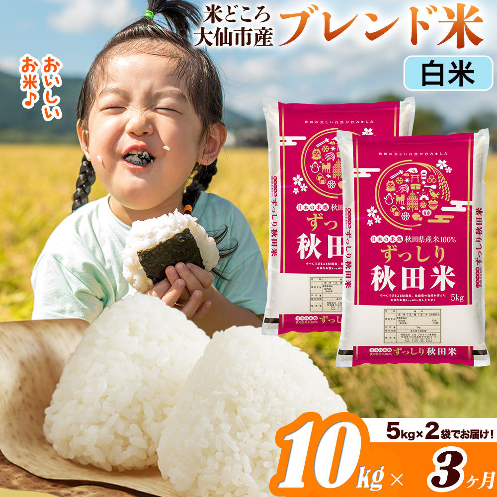 米《定期便3ヶ月》米どころ 秋田県大仙市産 ブレンド米【白米】10kg（5kg×2袋）