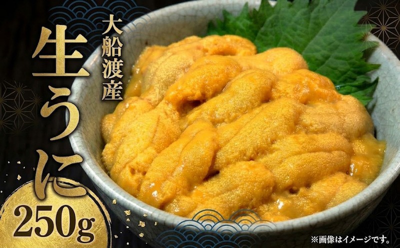 
                  【期間限定】生うに 250g 大船渡産 ミョウバン不使用 冷蔵 うに ウニ 生ウニ 海鮮 雲丹 塩水うに 高級 海鮮丼 寿司 数量限定 父の日 キタムラサキウニ 岩手 三陸 大船渡 30000円
                