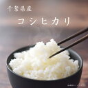 【ふるさと納税】千葉県産コシヒカリ ／ お米 精米 こしひかり 送料無料 千葉県