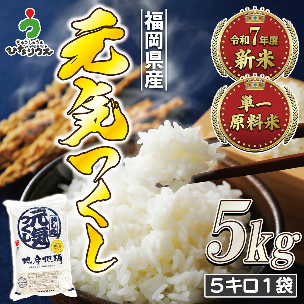 【ふるさと納税】【令和7年産米】JAよりお届け！福岡県ブランド米 「元気つくし」 5kg×1袋 お米 こめ 玄米 福岡県 福津市 送料無料 【2025年11月より順次発送】［G2310a］