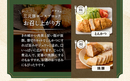 【 平田牧場 】 三元豚 ロース ブロック 600g T036-014 肉 お肉 にく 豚 豚肉 ブタ ぶた ロースブロック 黒豚 バークシャー種 特別品種 便利 パック おかず 夕食 美味しい おい