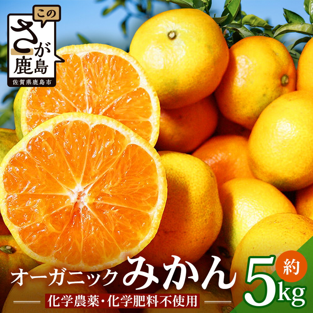 【ふるさと納税】【先行予約】 オーガニック みかん 約5kg ミカン 蜜柑 果物 フルーツ 国産 有機栽培 佐賀産 佐賀県 鹿島市 送料無料【11月頃〜12月頃発送予定】B-70