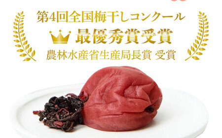 梅造り一筋！梅干し 700g 日田市 南高梅干し [ARCH001]
