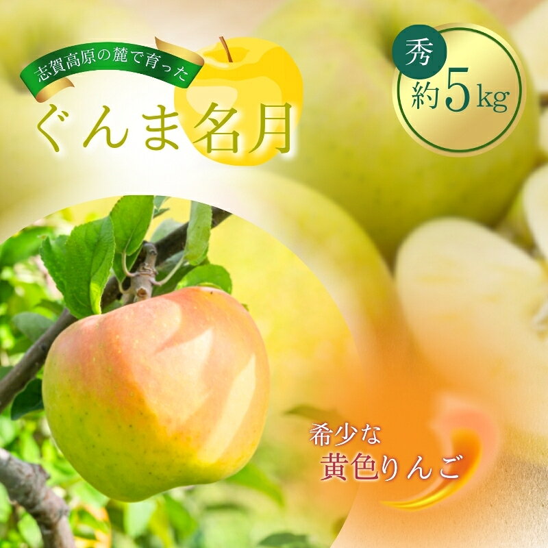 【ふるさと納税】志賀高原の麓で育った ぐんま名月 秀18玉 約5kg 【 りんご 5kg フルーツ 果物 デザート 長野県 長野 】　お届け：2026年11月10日～20日頃発送予定※日時指定不可
