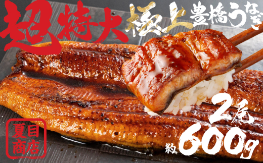 うなぎ 特大 蒲焼 特大サイズ ~300g×2尾 豊橋うなぎ 夏目商店 国産 国産うなぎ ウナギ うなぎ 特大 うなぎ 特大 うなぎ 特大 うなぎ 特大 うなぎ 特大 うなぎ 特大 うなぎ 特大 うなぎ 蒲焼 うなぎ 蒲焼 うなぎ 国産 うなぎ 国産 うなぎ 2尾 うなぎ 2尾 特大うなぎ 特大うなぎ うなぎ 蒲焼 特大 うなぎ 蒲焼 特大 うなぎ 300g うなぎ 300g うなぎ 蒲焼