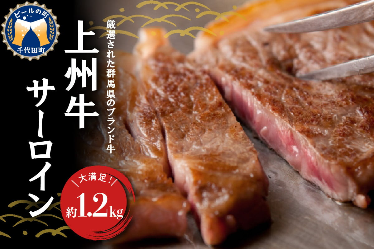 
【訳あり】牛肉 サーロイン 【上州牛】 約1.2kg (約200g×6枚) 群馬県 千代田町 国産 牛肉 ステーキ キャンプ アウトドア バーべキュー BBQ 冷凍 送料無料
