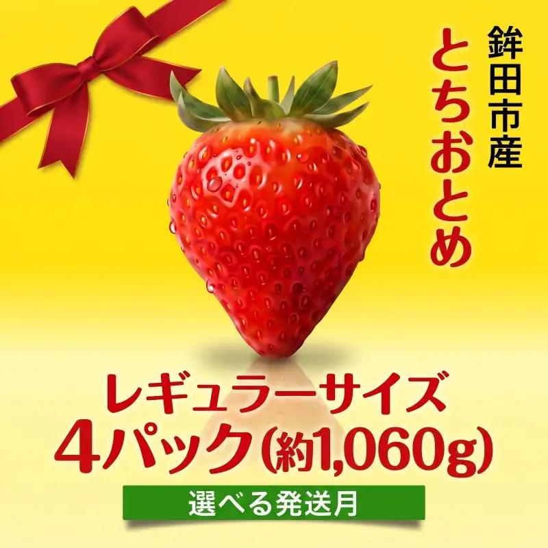 【2月発送】 いちご とちおとめ （レギュラーサイズ） 4パック