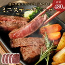 【ふるさと納税】熊本県産 あか牛 ミニステーキ 480g 120g×4パック ランプ ステーキ 牛肉 肉 あかうし 和牛 牛 国産牛 国産 九州産 熊本産 熊本 くまもと 冷凍 送料無料