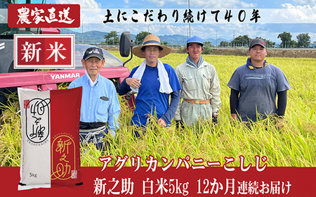 J8-7S05Z【12ヶ月連続お届け】新潟県長岡産 新之助 5kg