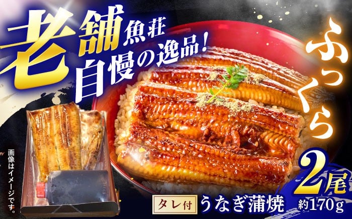 
            魚荘のうなぎ蒲焼き(2尾入り) / うなぎ ウナギ 鰻 蒲焼き 蒲焼 国産 冷凍 小分け うな重 うな丼 ひつまぶし / 諫早市 / 有限会社魚荘 [AHCK002] 
          