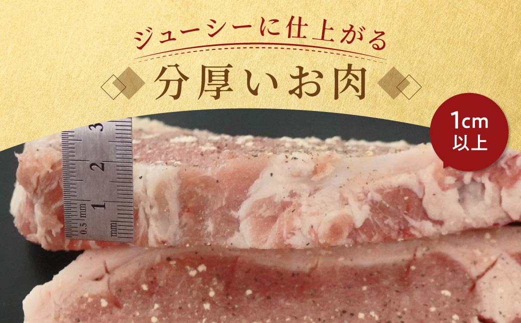【6ヶ月定期便】カネカン竹内　ポークチャップ（懐かしの特製デミソース付）200g×5枚 MROA130