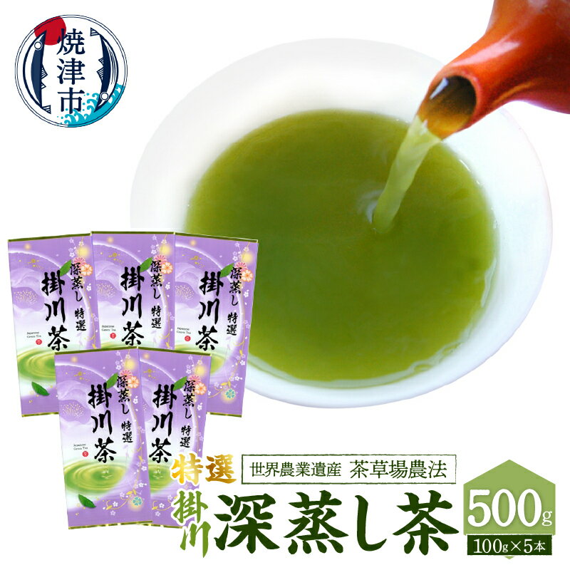 【ふるさと納税】 お茶 緑茶 深蒸し茶 焼津 世界農業遺産 茶草場農法 100g×5本 a19-003