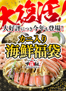 敦賀の豪華 海鮮福袋 8種【カニ むきえび ホタテ 魚介 詰め合わせ 】[024-e202(20)]