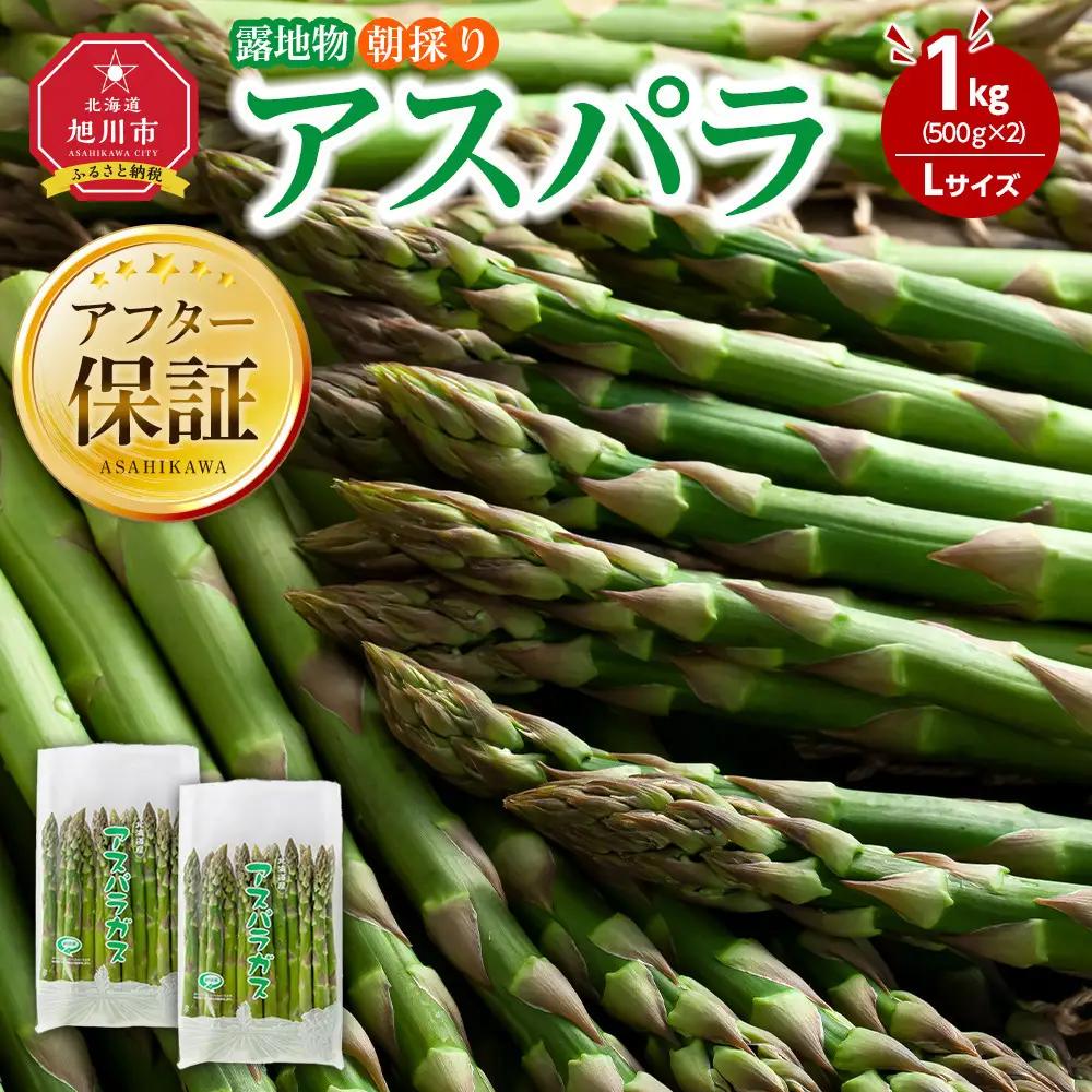 【先行予約】朝採りアスパラ Lサイズ 1kg（500g×2）鮮度保持パック入り 旭川近郊産 露地物(5月中旬発送開始) | アスパラ 北海道 _01590