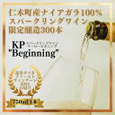 【ふるさと納税】【北海道産ワイン】 限定スパークリングワイン KP”Beginning" 750ml×1本 仁木町産ナイアガラ100%使用 ワイン 白 辛口 スパークリング　【お酒・シャンパン・スパークリングワイン・ワイン・辛口】