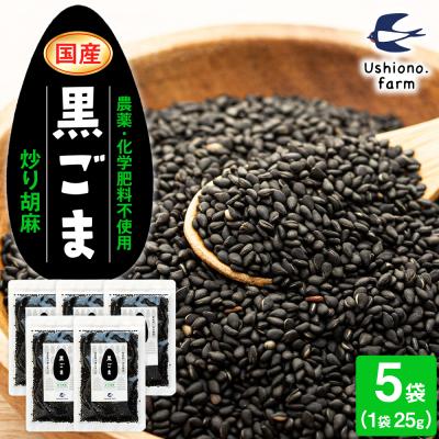 ふるさと納税 立科町  立科町産 黒ごま(炒り胡麻) 25g×5袋
