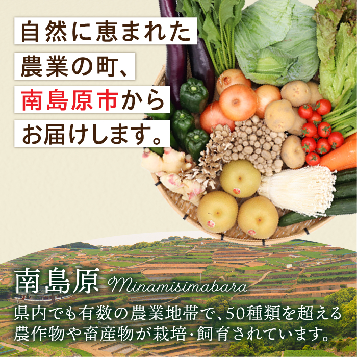 【毎月コース】豪華！野菜 果物 きのこセット 15品目以上 3回定期便 / 野菜定期便 やさい定期便 フルーツ 果物 キノコ 詰め合わせ / 南島原市 / 吉岡青果 [SCZ023]_イメージ3