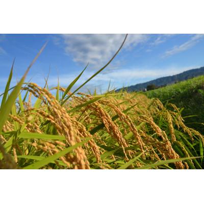 ふるさと納税 いなべ市 令和8年産コシヒカリ 多湖農園の『はじめの一穂』8.8kg 精米 |  | 01