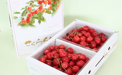 さくらんぼ（紅秀峰）１ｋｇ　0021-2604