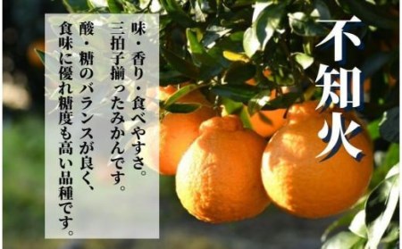 【不知火】家庭用 約 5kg ＜2月末から4月頭頃発送＞愛媛 松山 みかん 先行予約 蜜柑 柑橘 果物 くだもの フルーツ お取り寄せ グルメ 期間限定 数量限定 人気 おすすめ 愛媛県 松山市【PT